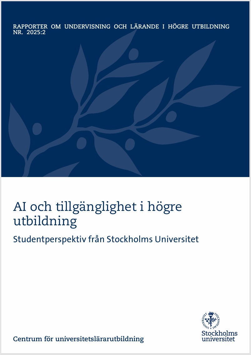 Rapport AI och tillgänglighet