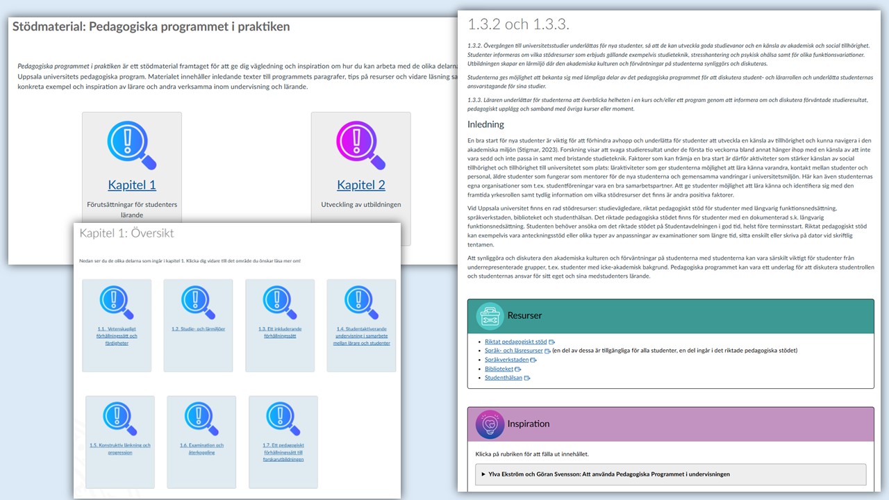 Pedagogiska programmet i praktiken