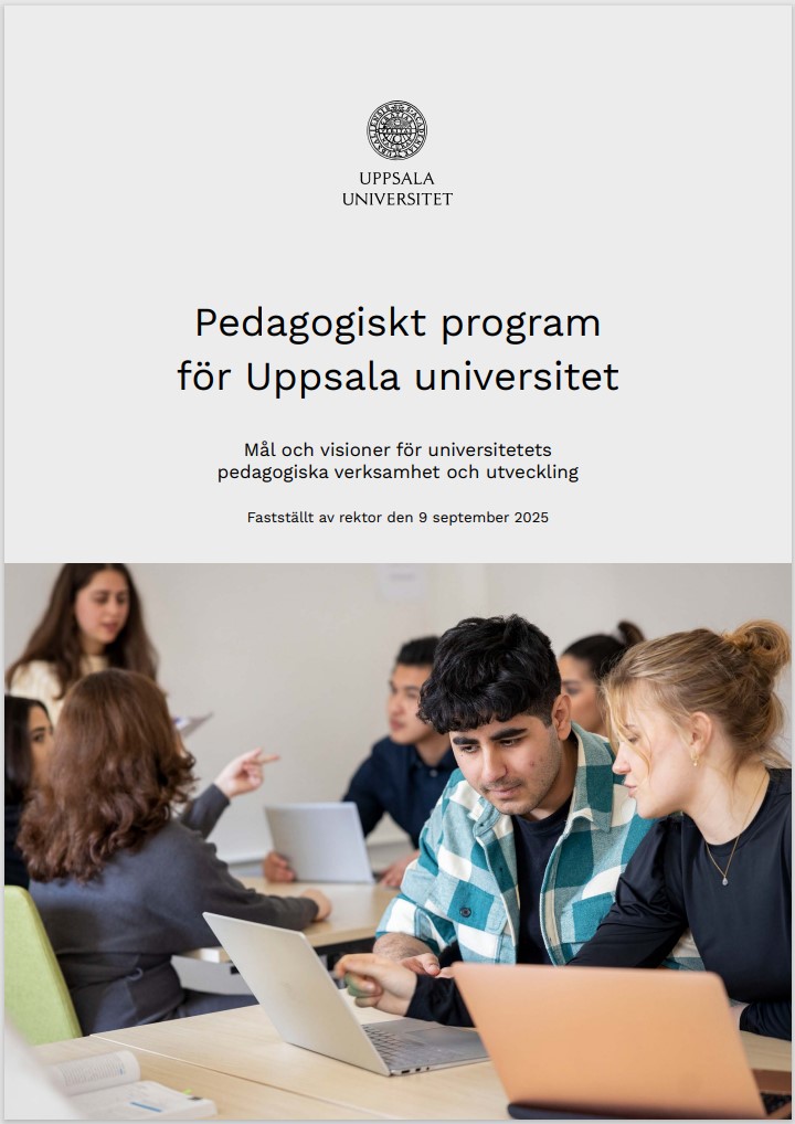 Pedagogiska programmet